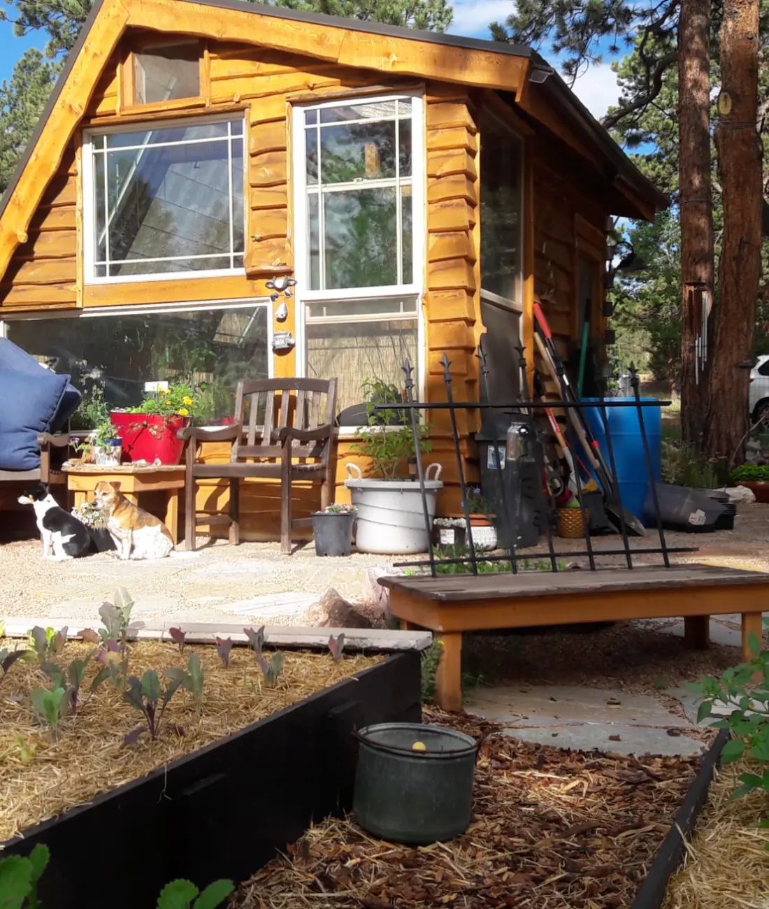 The rustic garden cabin at Vee Lane's Backyard Homestead