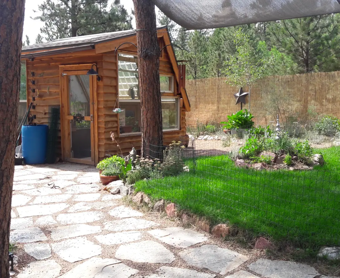 A green path through Vee's Colorado mountain homestead